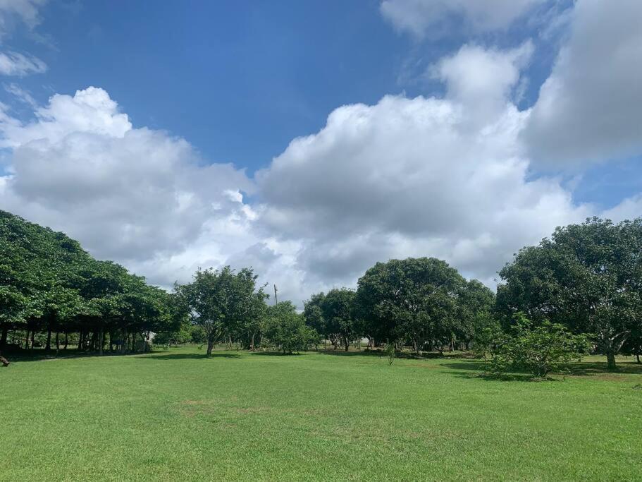 Apartament Disfruta Del Contacto Con La Naturaleza Puntarenas Zewnętrze zdjęcie