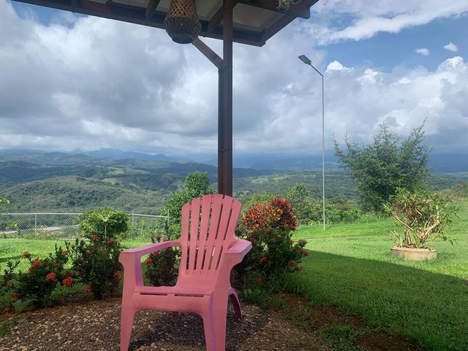 Apartament Disfruta Del Contacto Con La Naturaleza Puntarenas Zewnętrze zdjęcie