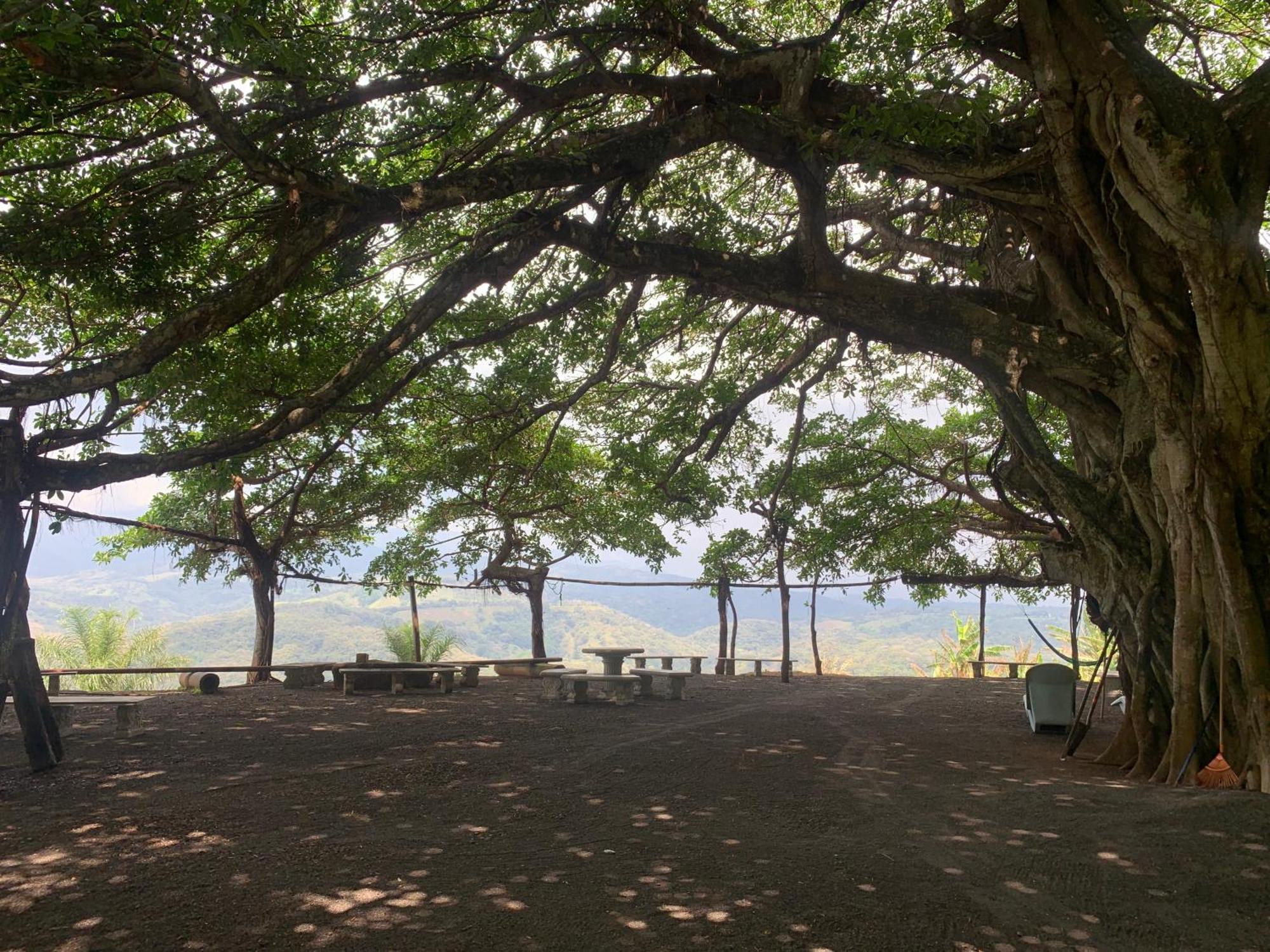 Apartament Disfruta Del Contacto Con La Naturaleza Puntarenas Zewnętrze zdjęcie