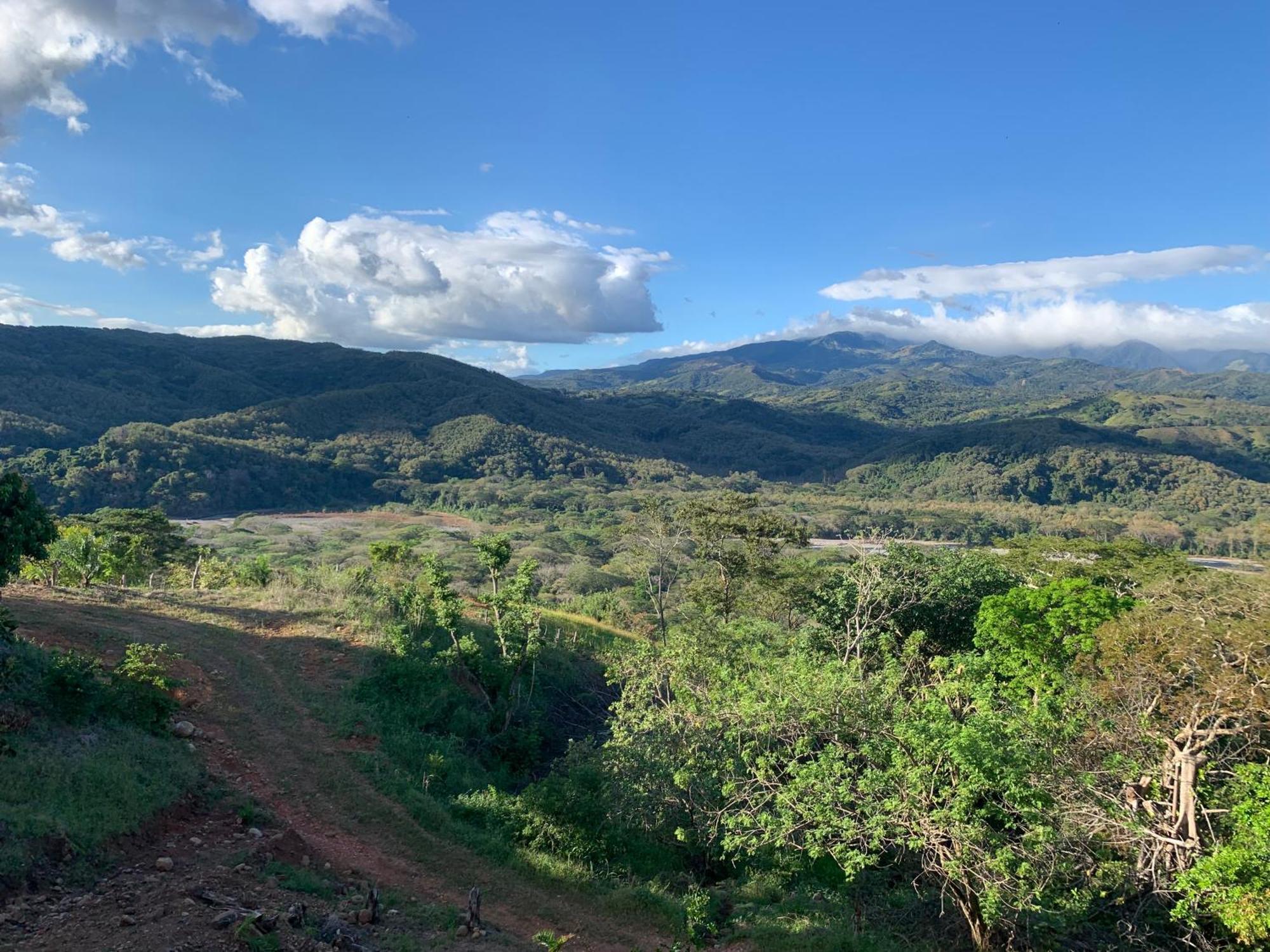 Apartament Disfruta Del Contacto Con La Naturaleza Puntarenas Zewnętrze zdjęcie